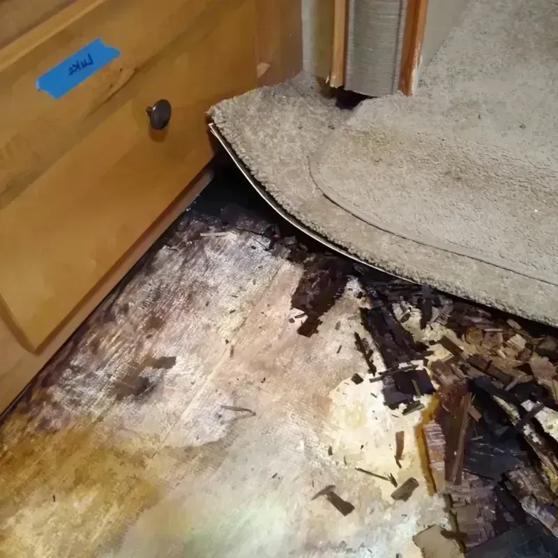 Best Wood Floor Water Damage Service in Fort Valley, GA